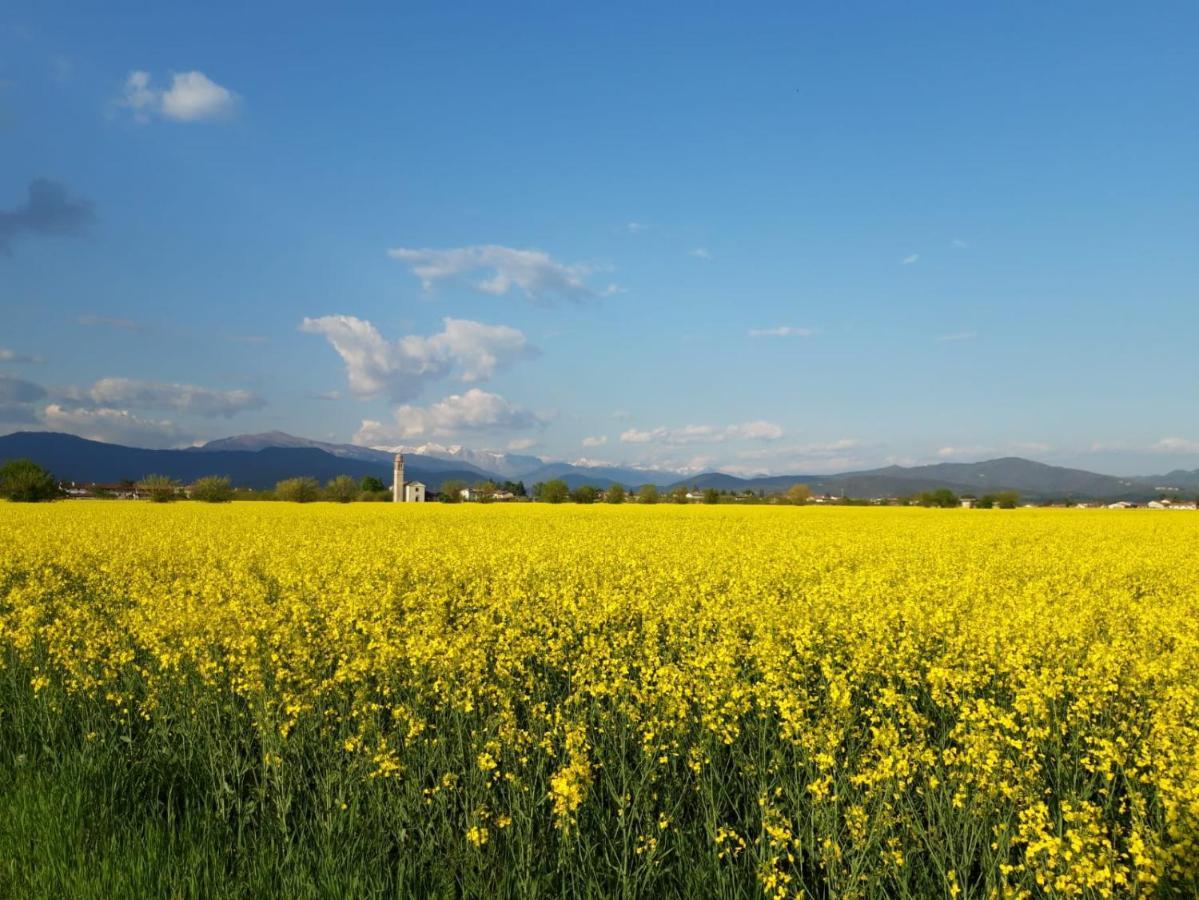 Agriturismo Antica Corte Contadina Premariacco Экстерьер фото